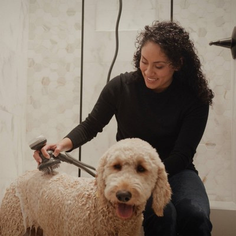 Handheld Pet Washer