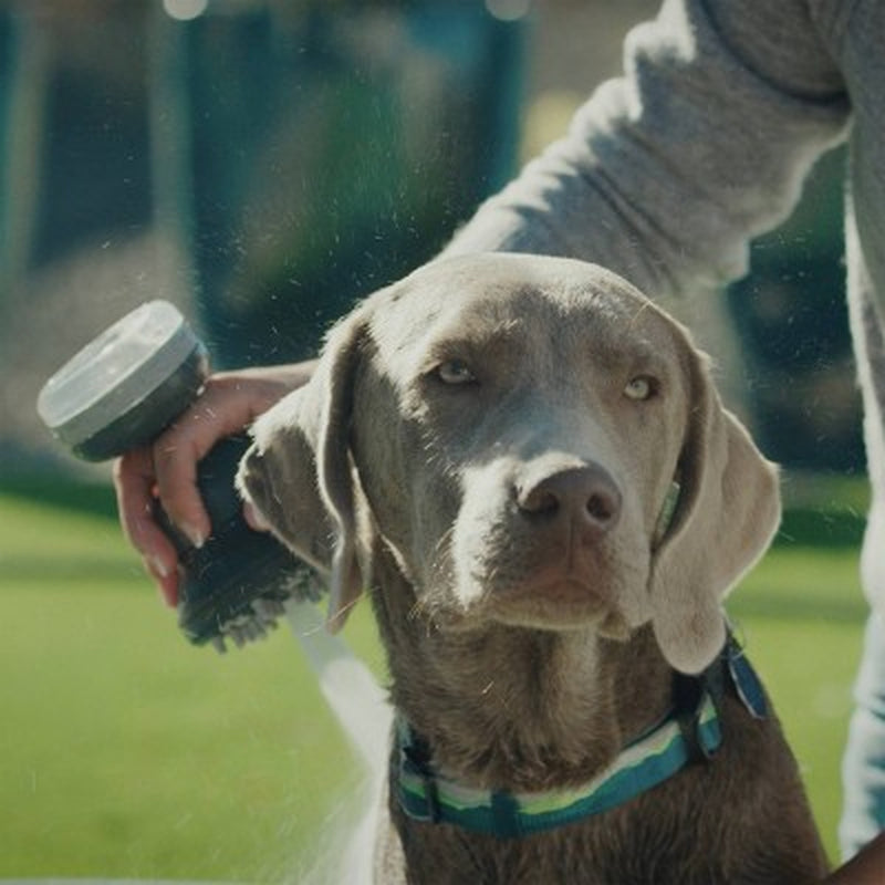 Handheld Pet Washer