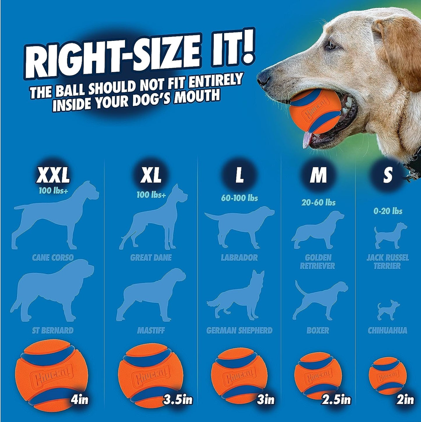 Sport Dog Ball Launcher - Includes Medium Ball - 23" Length