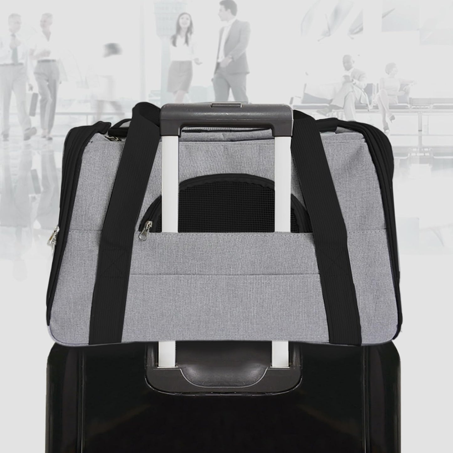 Modern Dog Carrier for Small Dogs Airline Approved