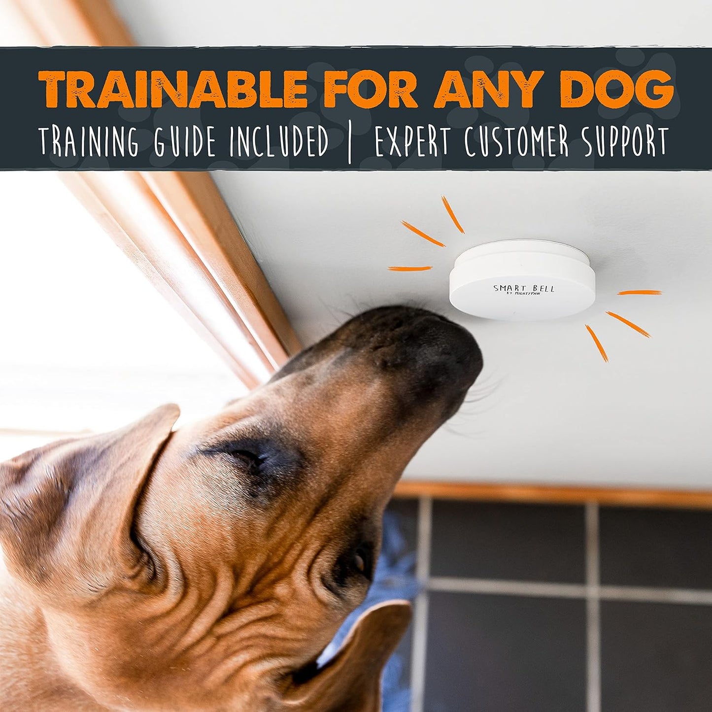 Smart Dog Wireless Door Bell 2.0 - Potty Training Bell for Puppies