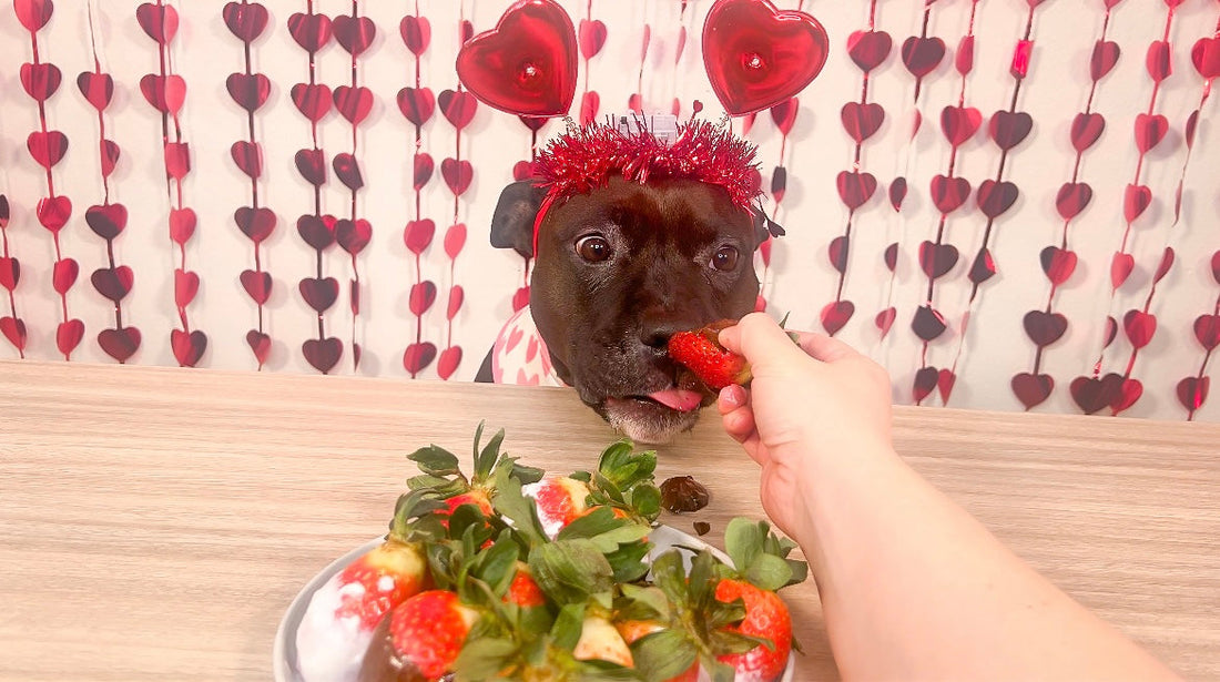 How To Make "Chocolate" Covered Strawberries For Dogs