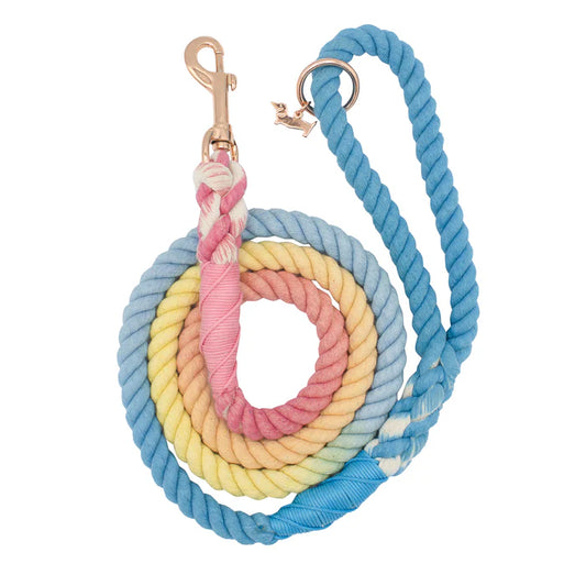 Bright - Modern Dog Rope Leash