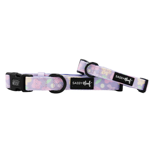 Fleur de Sass - Modern Dog Collar