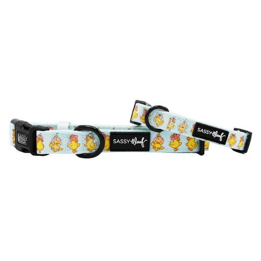 Good Duck, Babe! - Modern Dog Collar