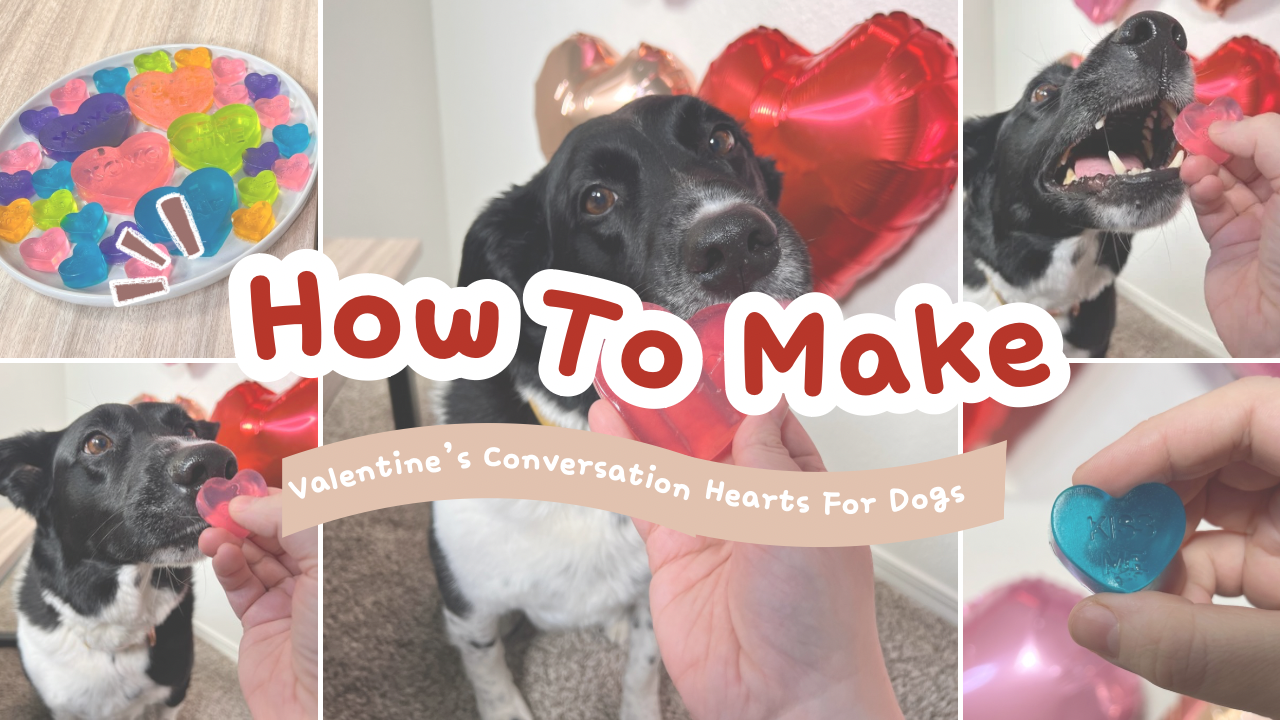 Load video: Valentine&#39;s Day Gummy Dog Treats