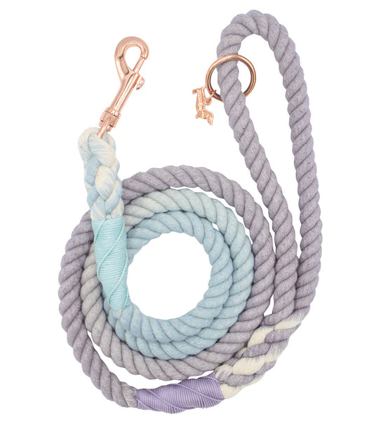 Skyfall - Modern Dog Rope Leash