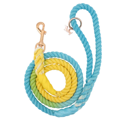 Bubble - Modern Dog Rope Leash
