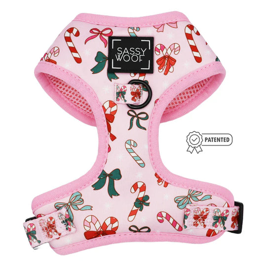 Candy Cane Coquette - Modern Dog Christmas Harness
