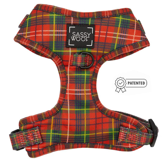 Deck The Paws - Modern Dog Christmas Harness
