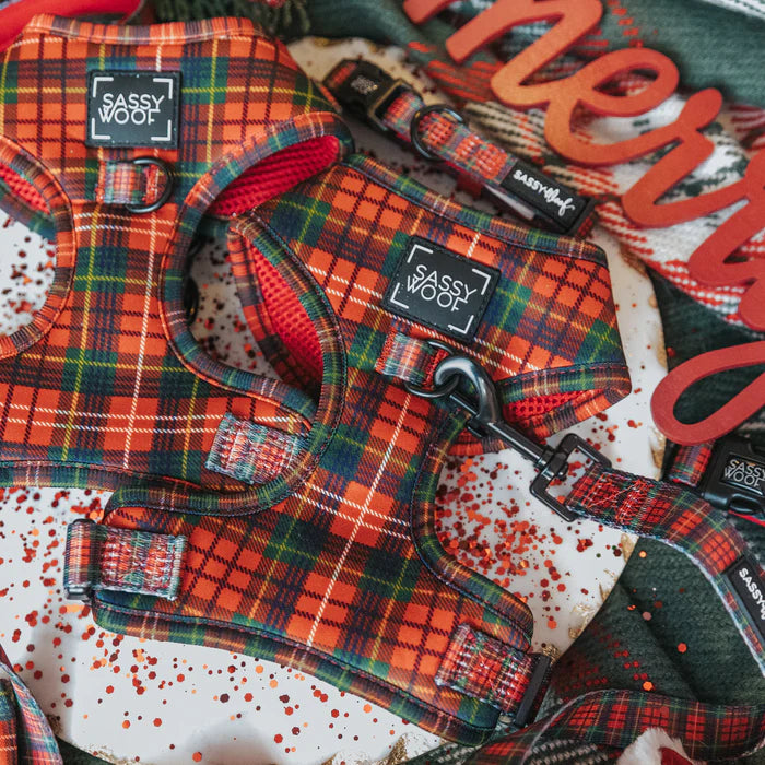 Deck The Paws - Modern Dog Christmas Harness