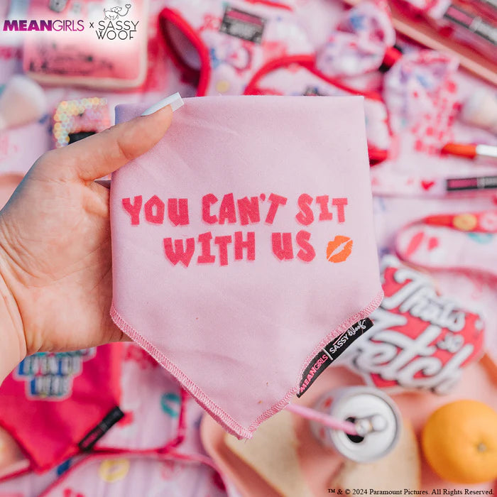 Mean Girls™ You Can't Sit With Us - Modern Dog Bandana
