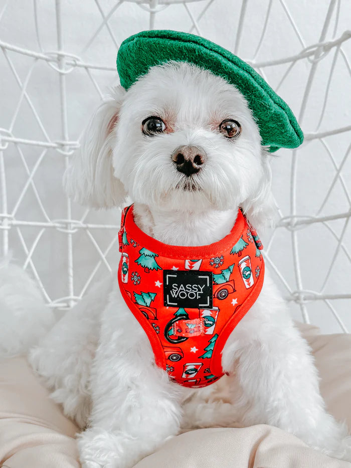 O Christmas Treat - Modern Dog Adjustable Harness