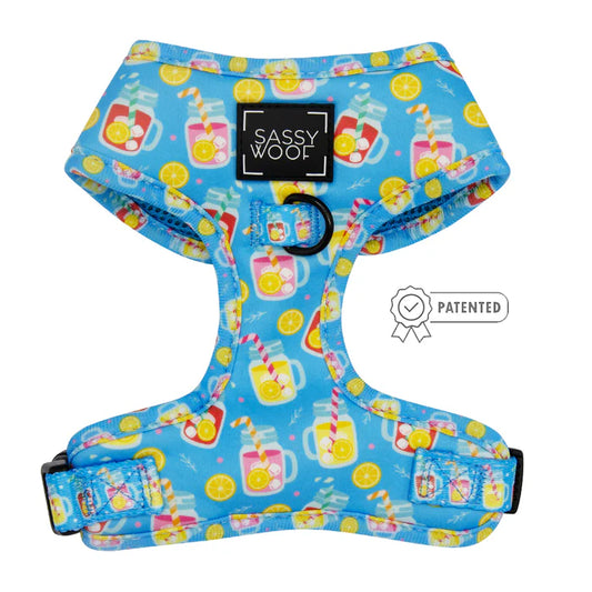 You Can't Sip With Us - Modern Dog Adjustable Harness