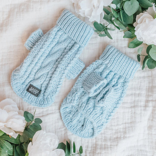 Light Blue - Modern Dog Cable Knit Sweater