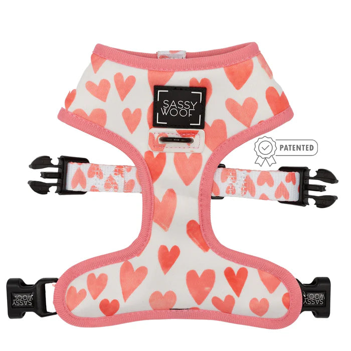 Dolce Rose - Modern Dog Reversible Harness