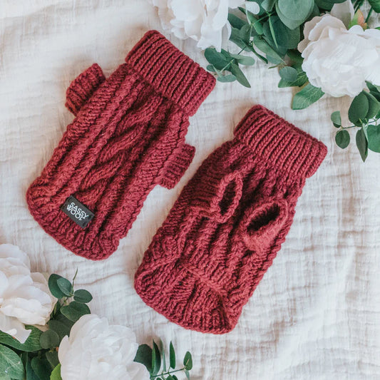 Red - Modern Dog Cable Knit Sweater
