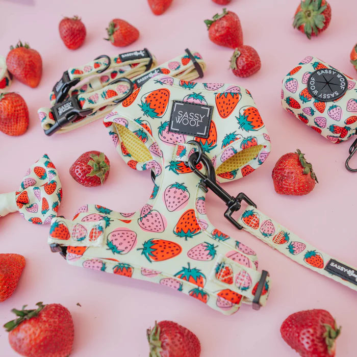 Strawberry Fields Furever - Modern Dog Adjustable Harness