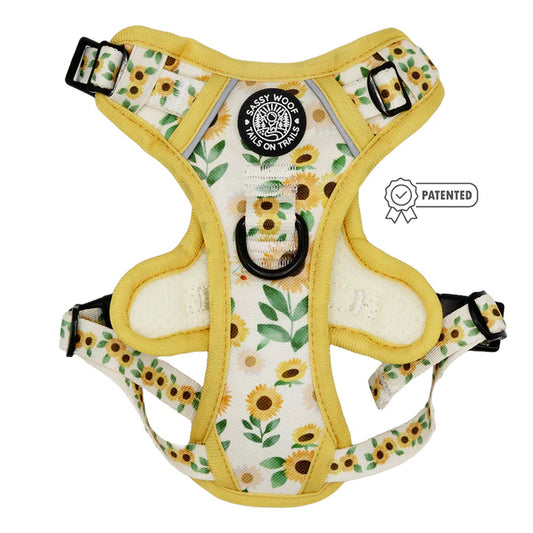 Sunflower Dreams - Modern Dog Step-In-Harness