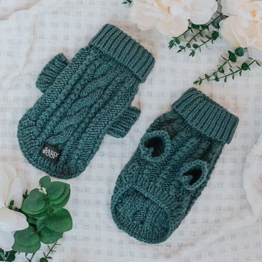 Teal - Modern Dog Cable Knit Sweater
