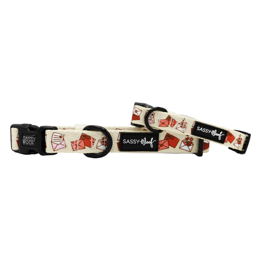 P.S. I Woof You - Modern Dog Collar