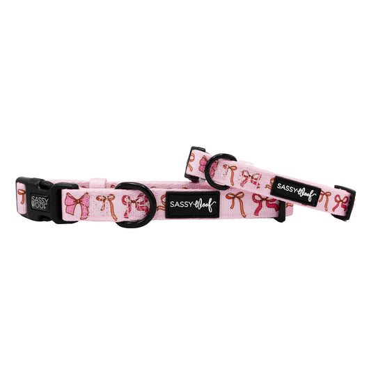 Sweet Treats - Modern Dog Collar
