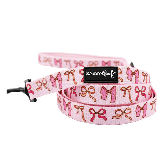 Sweet Treats - Modern Dog Leash