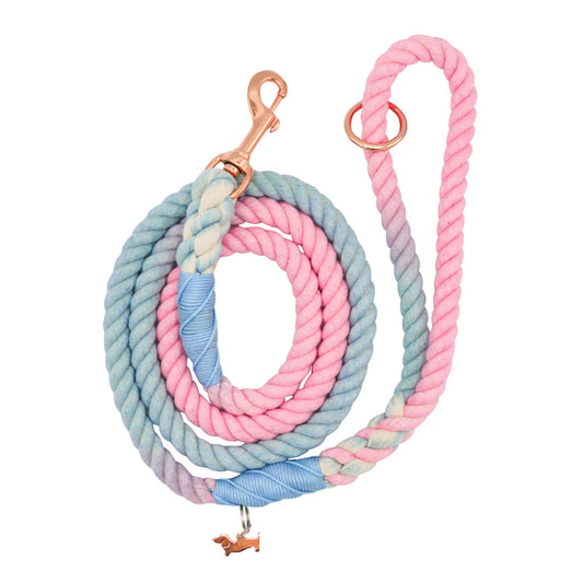 Romance - Modern Dog Rope Leash