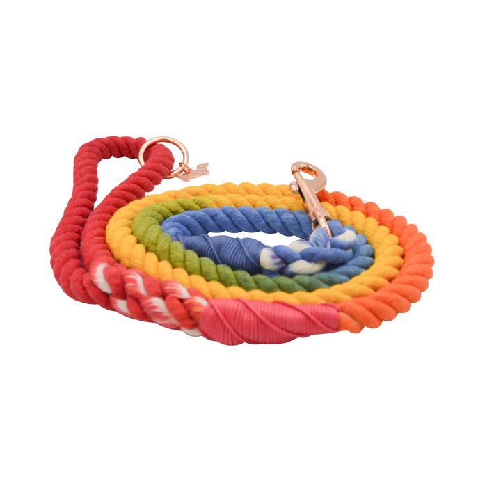 Taste The Rainbow - Modern Dog Rope Leash