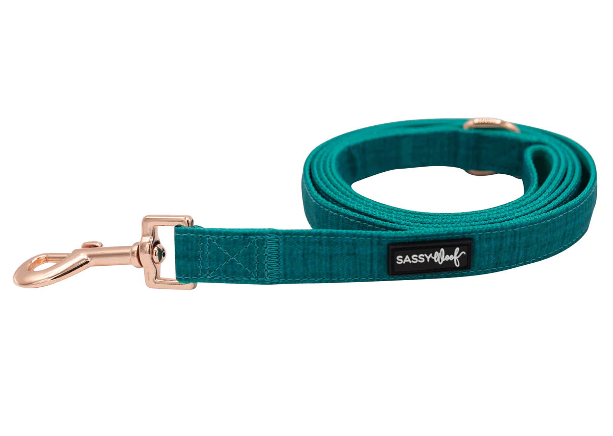 Napa - Modern Dog Leash