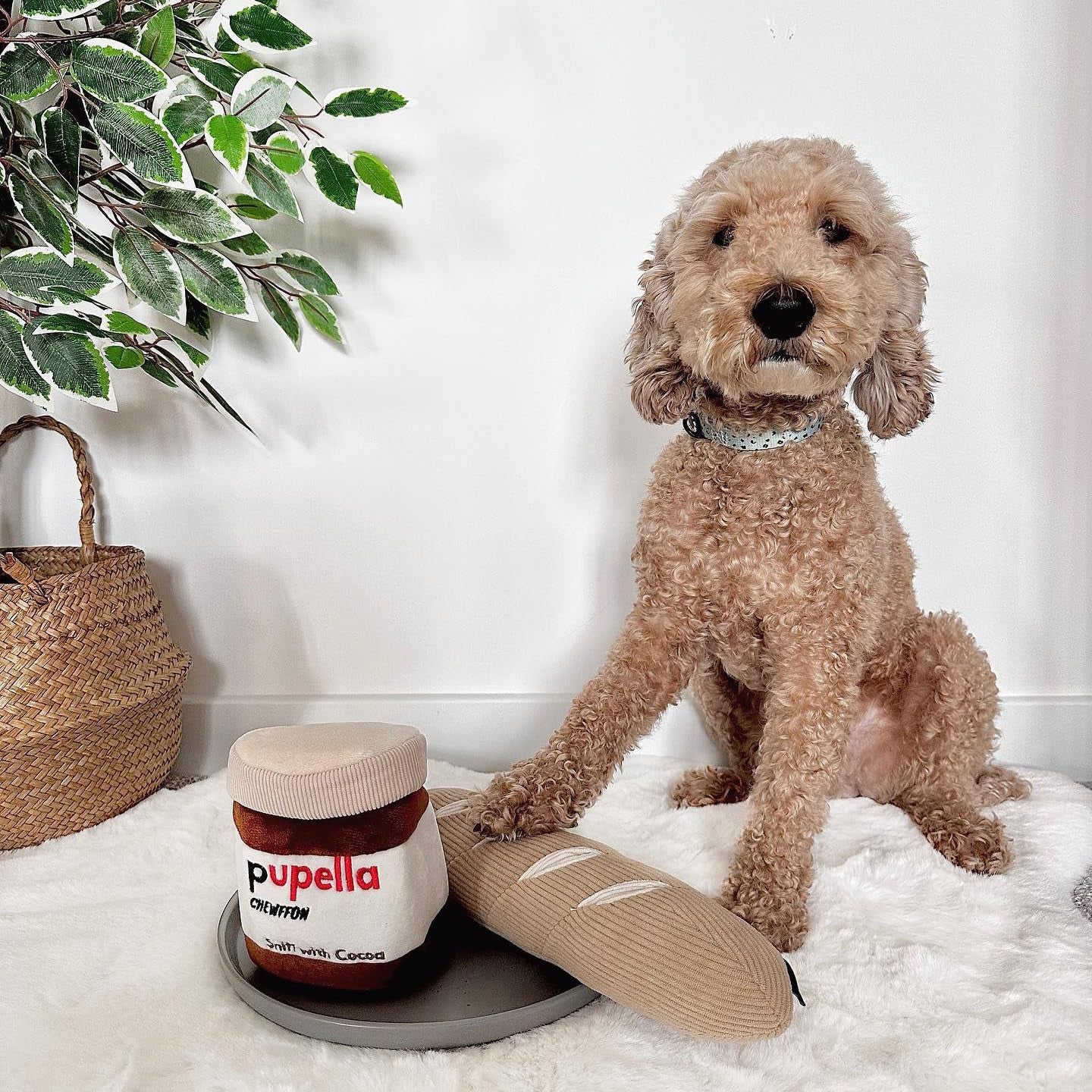 Pupella Plush Dog Toy