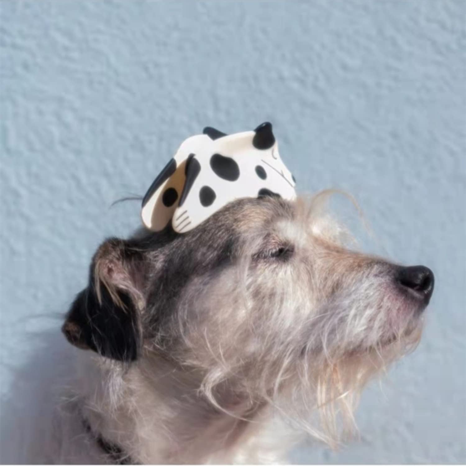 Spotted Dog Claw Hair Clip