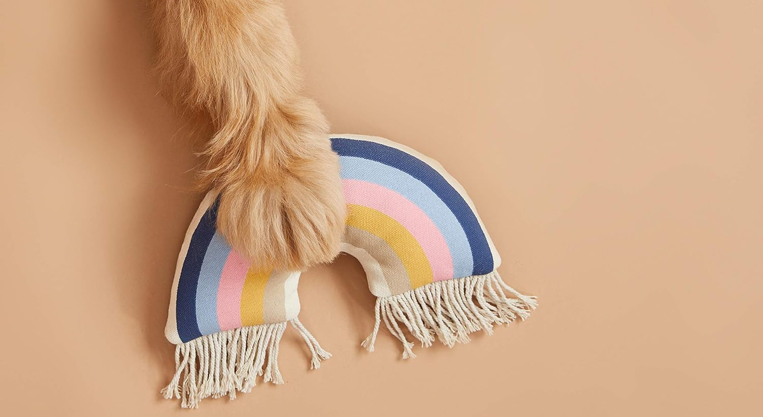 Rainbow Plush Dog Toy