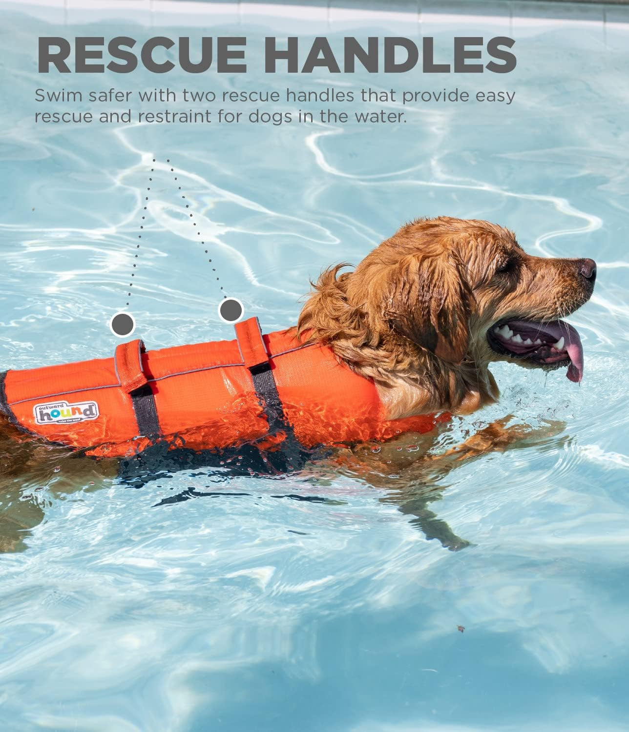 Modern Dog Life Jacket